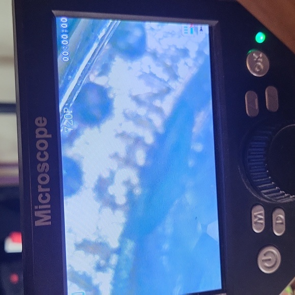 Green Amethyst and White Topaz Pendant Necklace - Picture 4 of 5